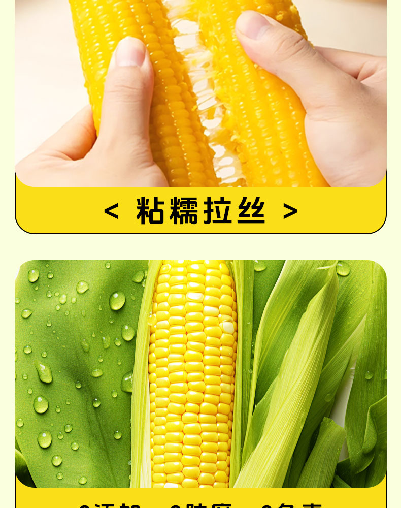 杰亩浩玉米—详情_06.jpg
