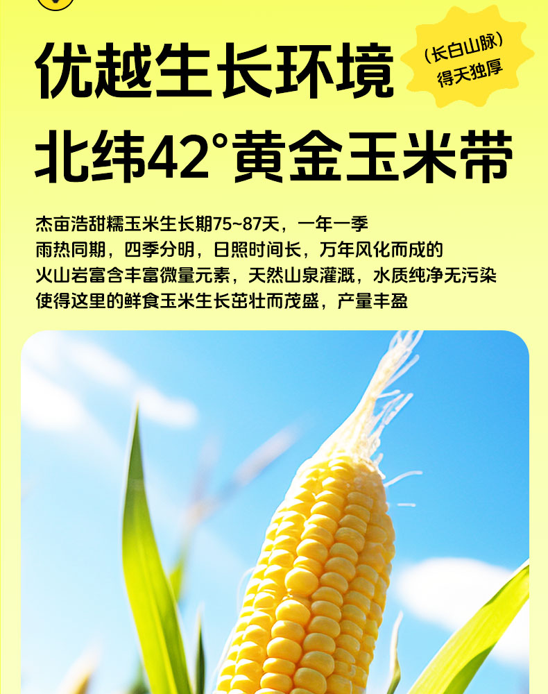 杰亩浩玉米—详情_03.jpg